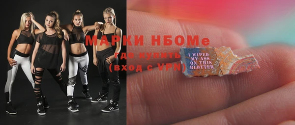 spice Богородицк