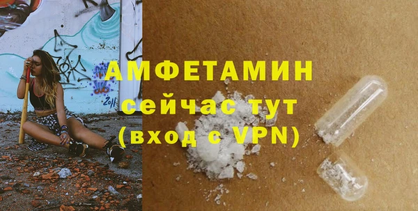 spice Богородицк