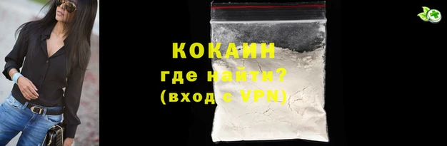 spice Богородицк