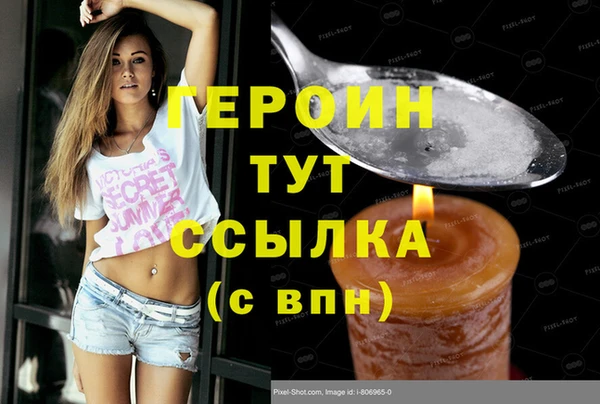 spice Богородицк