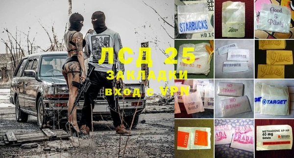 spice Богородицк