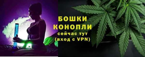 spice Богородицк
